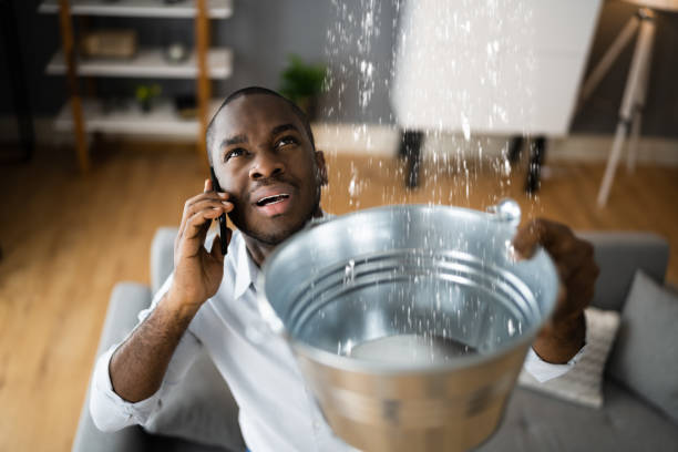 Best Water damage cleanup near me  in Sunflower, MS
