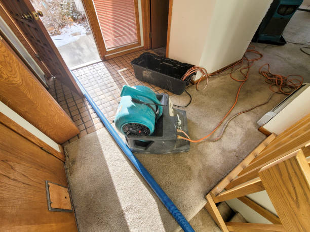 Reliable Sunflower, MS Water damage restoration Solutions