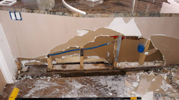 Best Water damage contractors near me  in Sunflower, MS