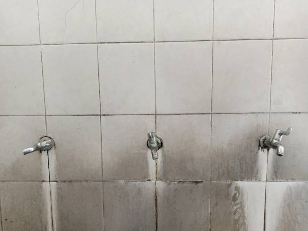 Best Water damage restoration cost  in Sunflower, MS